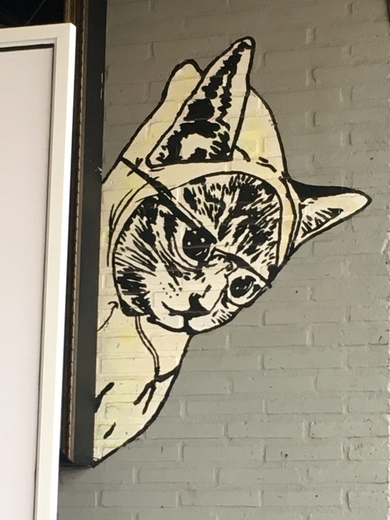 A black and white comical painting of a cat in glasses on a wall in Cabo San Lucas, Mexico photo © Kate Dana