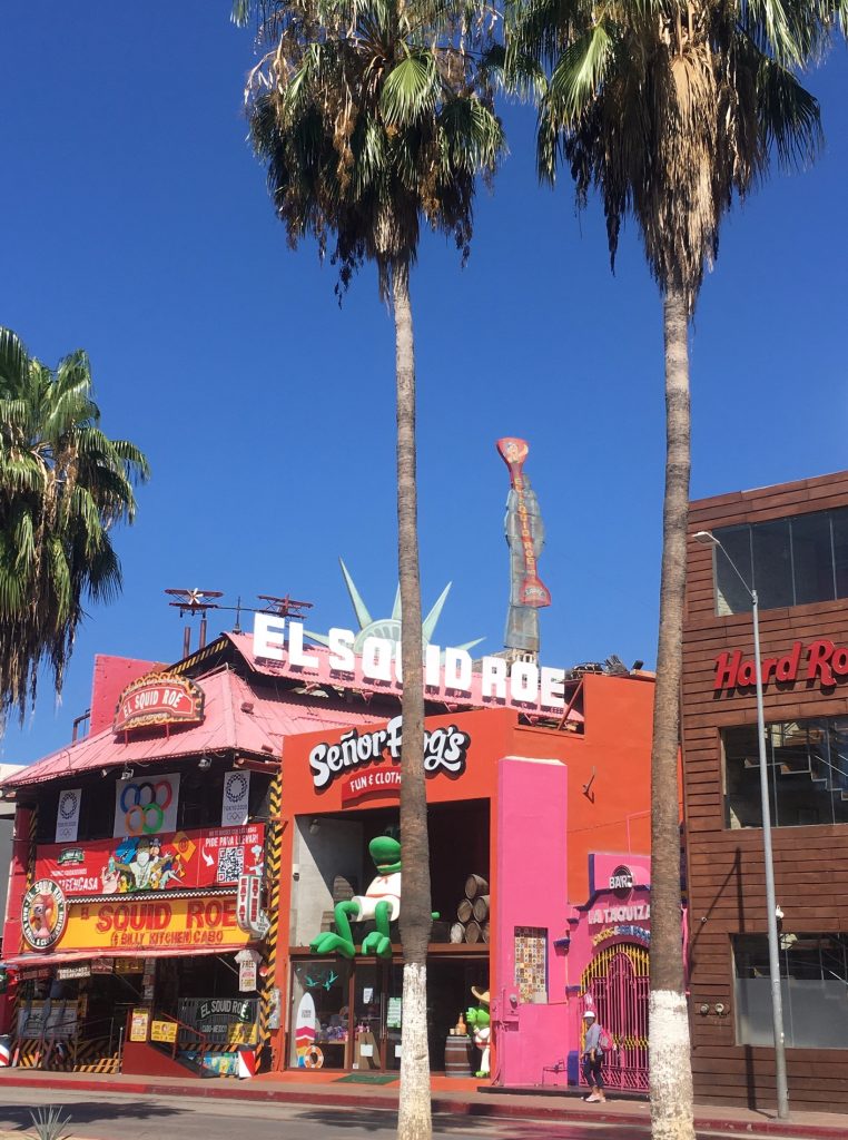 The colorful facade of Squid Roe bar and nightclub behind two tall palm trees in Cabo San Lucas, Mexico photo © Kate Dana