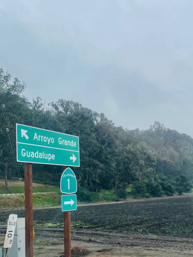 A foggy sky drifts over soil-rich, agricultural fields next to two posts with green highway signs announcing Arroyo Grande to the left, Guadalupe to the right, and California highway 1, just one of the many areas that make up the Santa Maria Valley photo ©Kate Dana