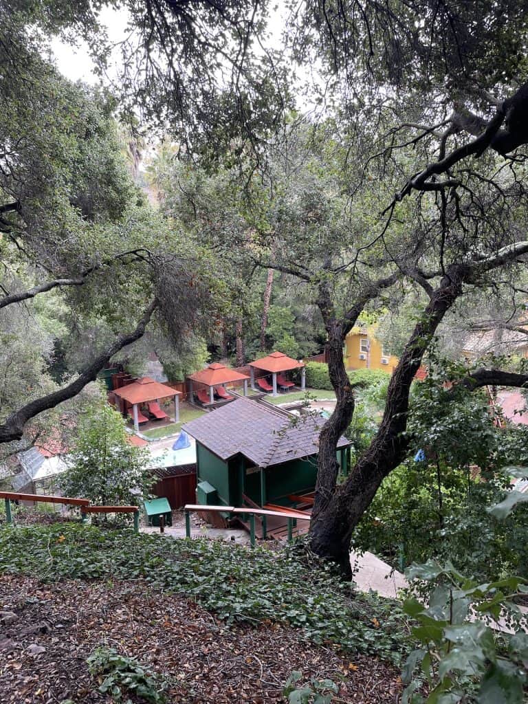 Several lounge chairs made of dark wood with red chair cushions can be seen surrounding the in-ground, mineral pool of Sycamore Mineral Springs Resort and Spa, in San Luis Obispo, CA, with trees overhead and staircases through the hillside terrain, photo ©Kate Dana