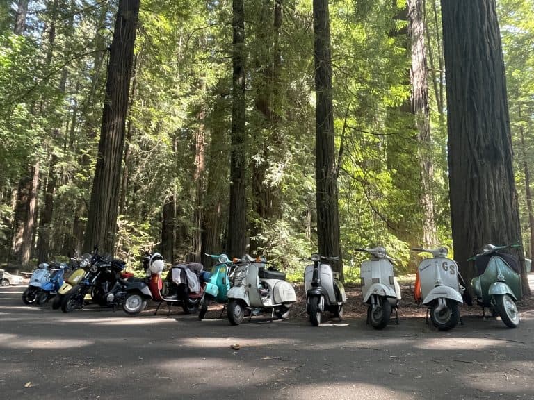 Vintage Lambretta and Vespa Italian motor scooters line up side-by-side below giant Redwood trees under a blue sky on a paved road inside a Northern California campground in this photo ©Kate Dana