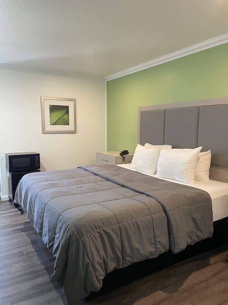 A hotel room with a green wall and large bed with grey bedspread and white sheets, photo ©Kate Dana