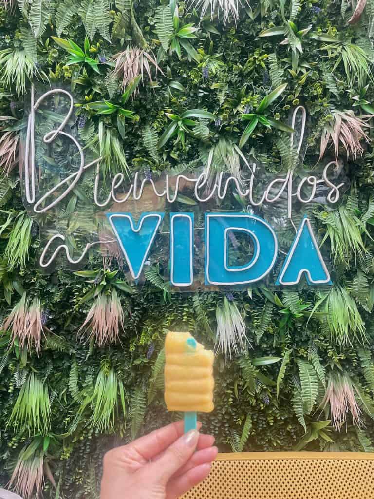 A white and aqua neon sign reads "bienvenidos a VIDA," welcome to life, rests against a green vine-covered backdrop with a hand holding a frozen, yellow popsicle on a blue stick in the foreground in this photo taken in Colombia by ©Kate Dana