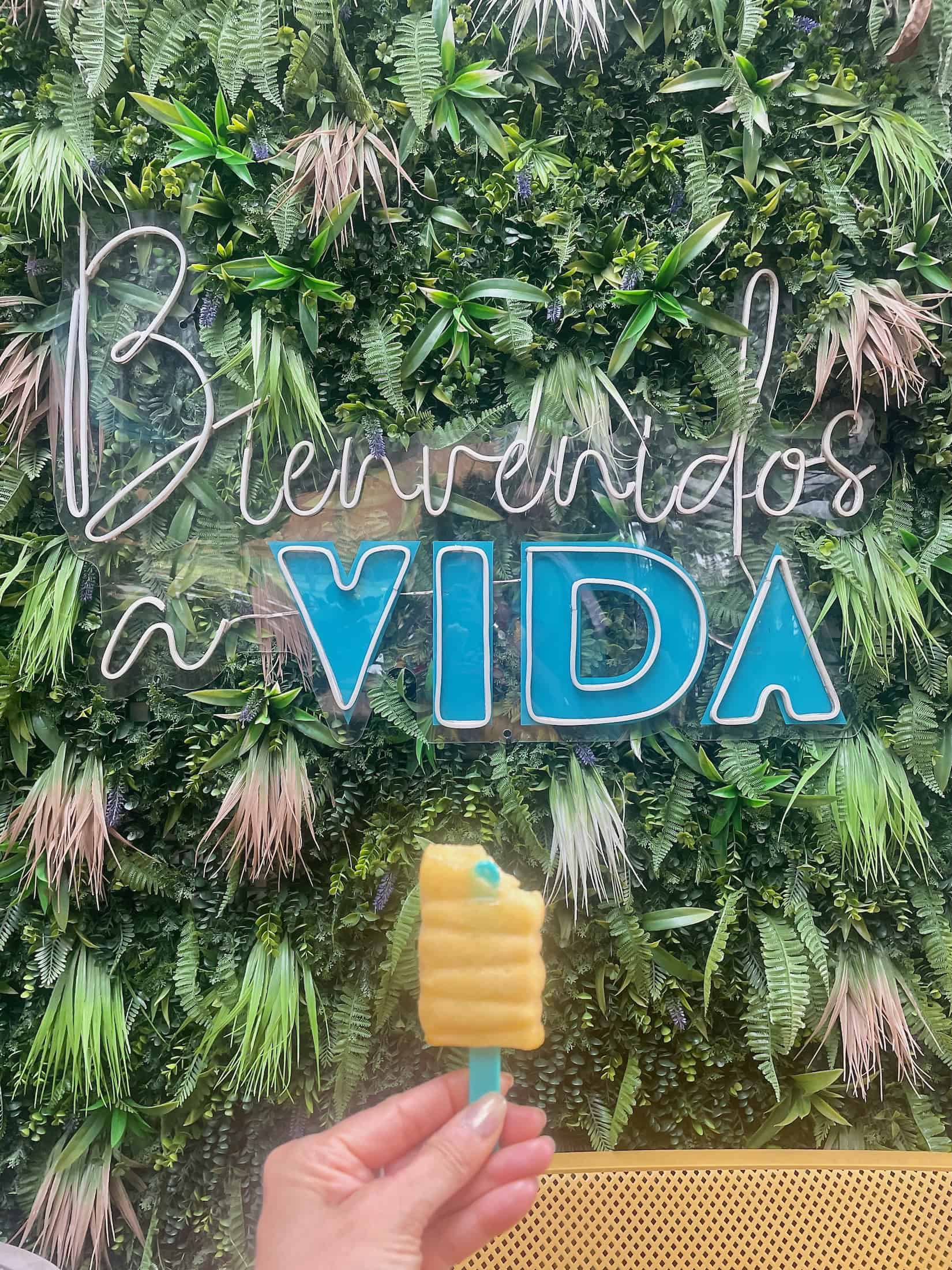 A white and aqua neon sign reads "bienvenidos a VIDA," welcome to life, rests against a green vine-covered backdrop with a hand holding a frozen, yellow popsicle on a blue stick in the foreground in this photo taken in Colombia by ©Kate Dana
