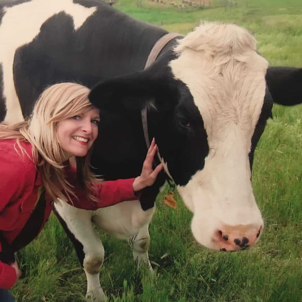 "Til the cows come home": Cocameca founder Kate Dana, wearing a red jacket, with blonde hair, stands, petting a large, black and white cow in a green pasture in this color, close-up photo for 78 Southern Phrases to Blow Your Hair Back, Cocameca.com photo © Kate Dana
