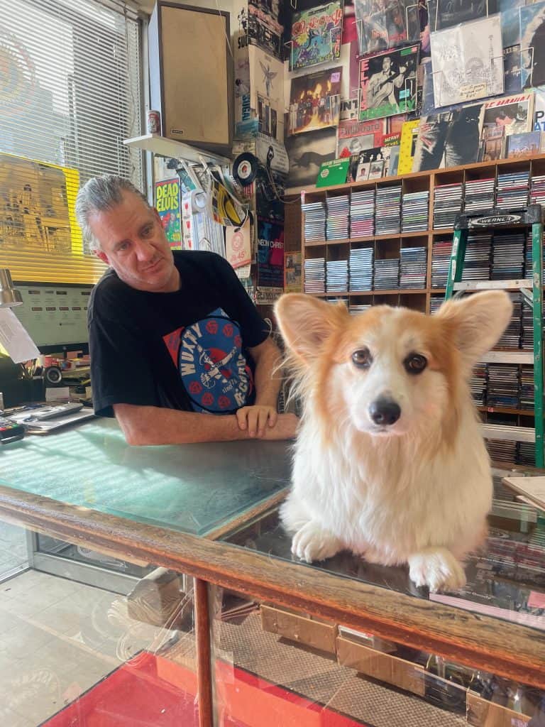 A fluffy Corgi named Padoushka sits on a glass counter looking at the camera with longtime employee and business partner Richard Kuykendall in the background at Wuxtry Records in Atlanta, GA photo ©Kate Dana