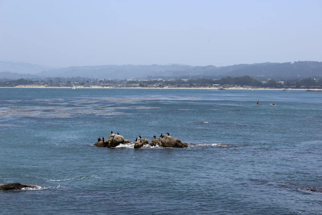 A crisp, blue ocean with dark rocks rolls against a foggy, blue sky along the Monterey Peninsula near Carmel, California, photo ©Blair Morris for Unsplash