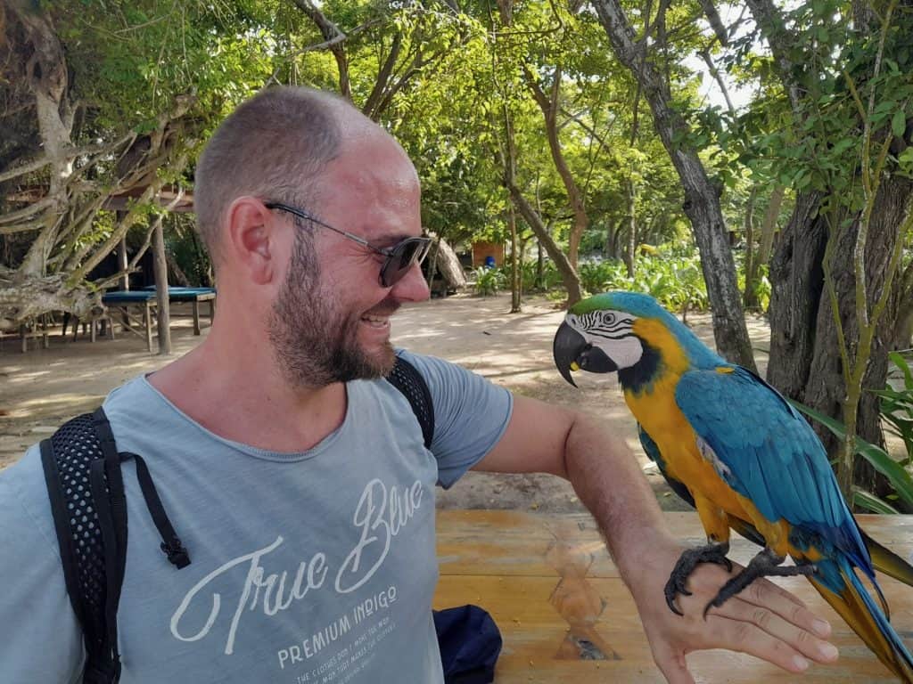A person wearing sunglasses and a t-shirt holds out their arm with a huge, colorful parrot sitting on their hand, photo ©Kate Dana