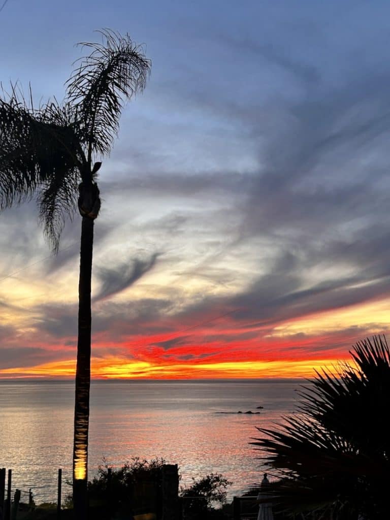 A bright, firey sunset with a single palm tree over the ocean at Inn at the Cove near Pismo Beach, CA