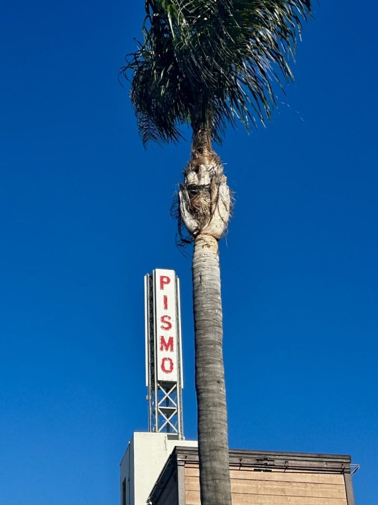 A tall narrow sign reading "Pismo" next to a single palm tree against a blue sky
