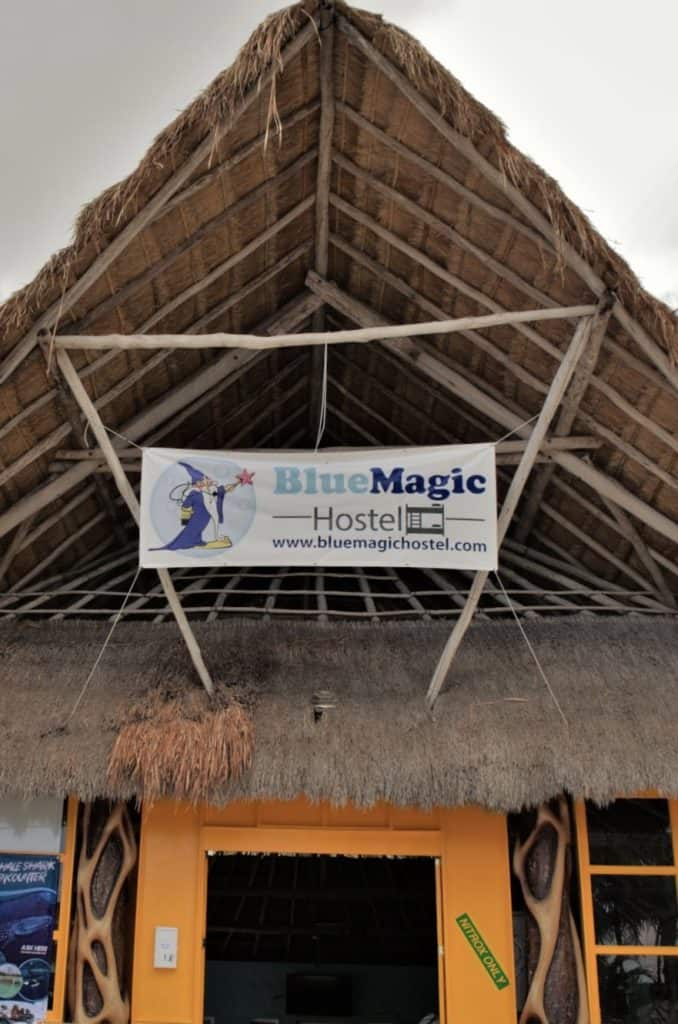 A sign on a thatched roof announces Blue Magic Hostel in Isla Cozumel, Mexico, photo ©Kate Dana