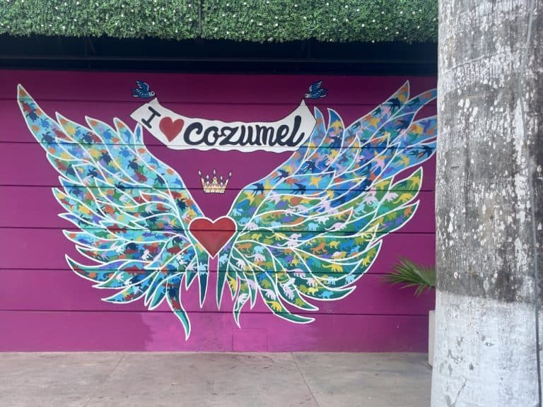 A pink wall with huge painted wings form a mural on a wall in Centro, Isla Cozumel, Mexico, photo ©Kate Dana