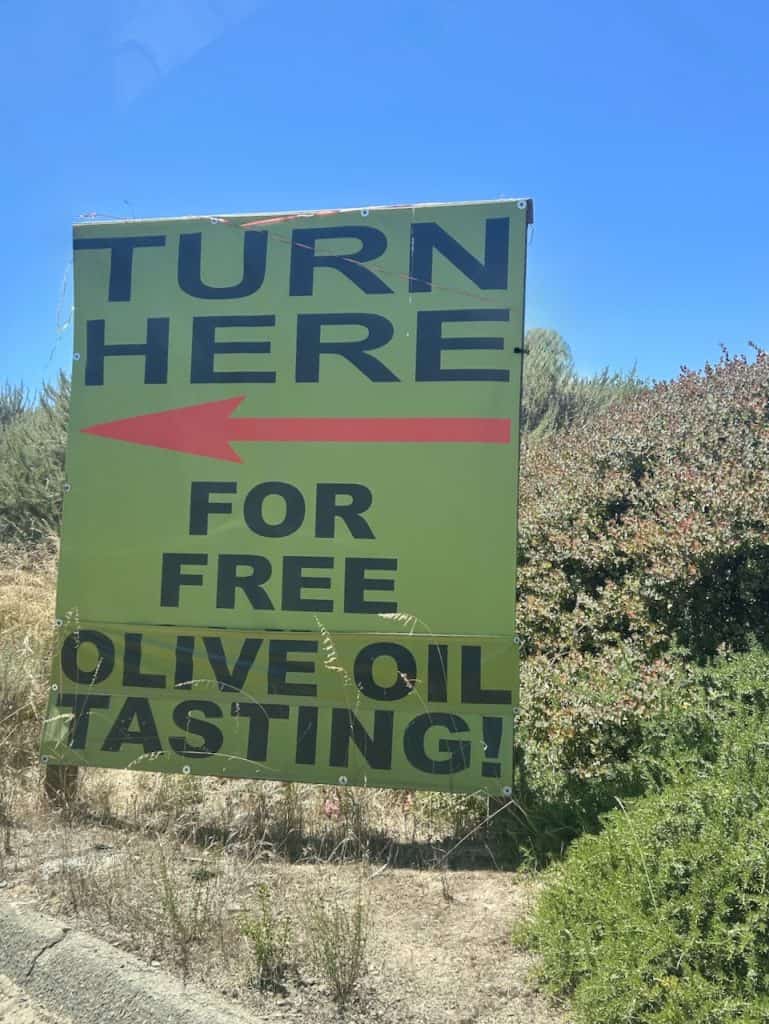 A large green road sign announces, "Turn Here for free olive oil tasting," photo ©Kate Dana