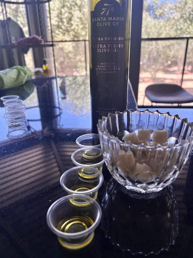 Several small dishes and tiny cups on a counter for olive oil tasting, photo ©Kate Dana